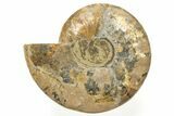 Cut & Polished, Crystal-Filled Ammonite Fossil - Madagascar #317419-4